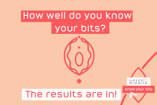 know your bits survey results   know your bits survey results