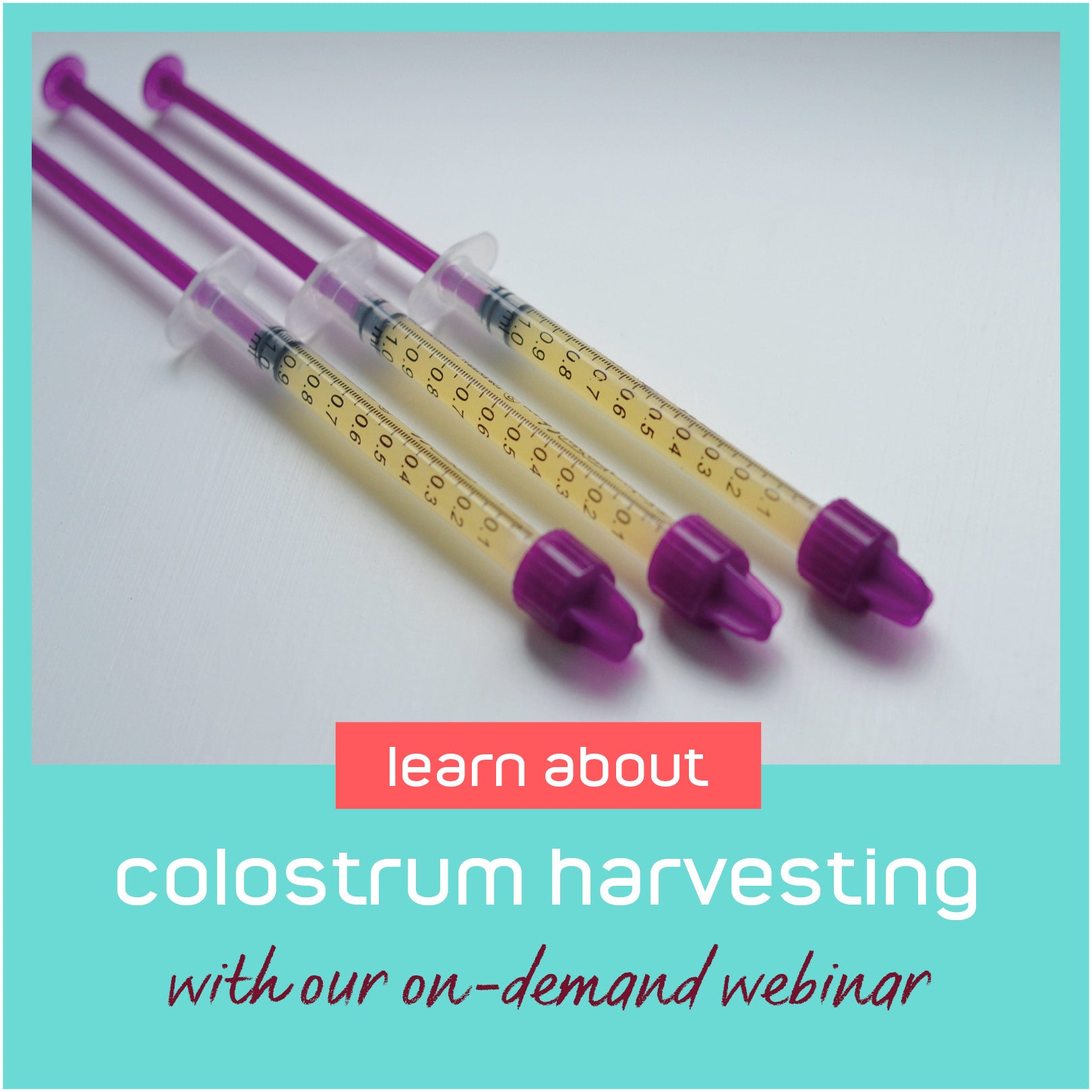 Colostrum Harvesting On Demand Webinar – My Expert Midwife