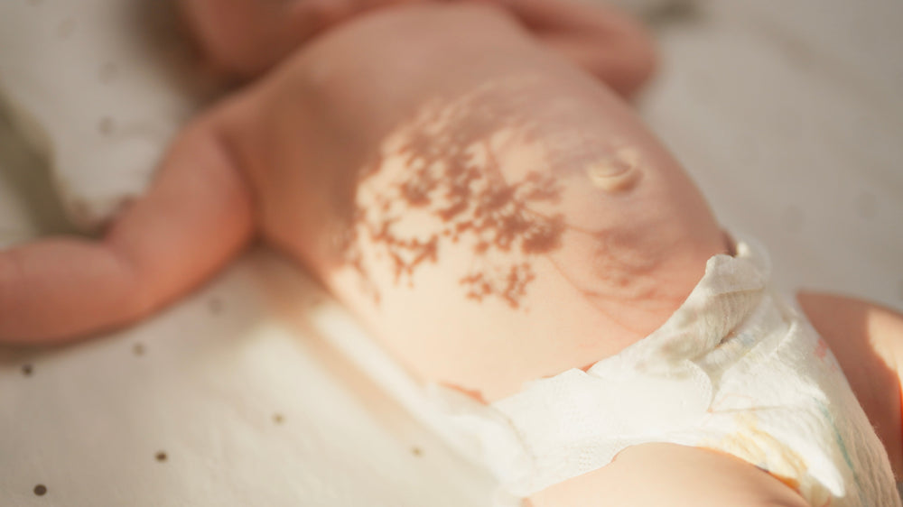  Nappy Care 101  Wee, Poo and more 