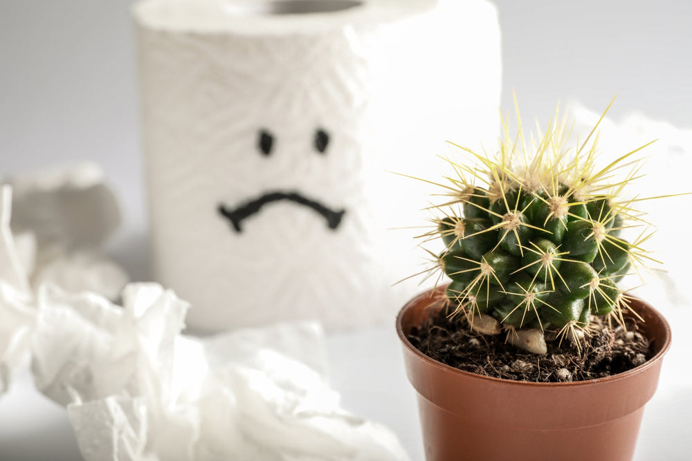  piles in pregnancy and what to do 