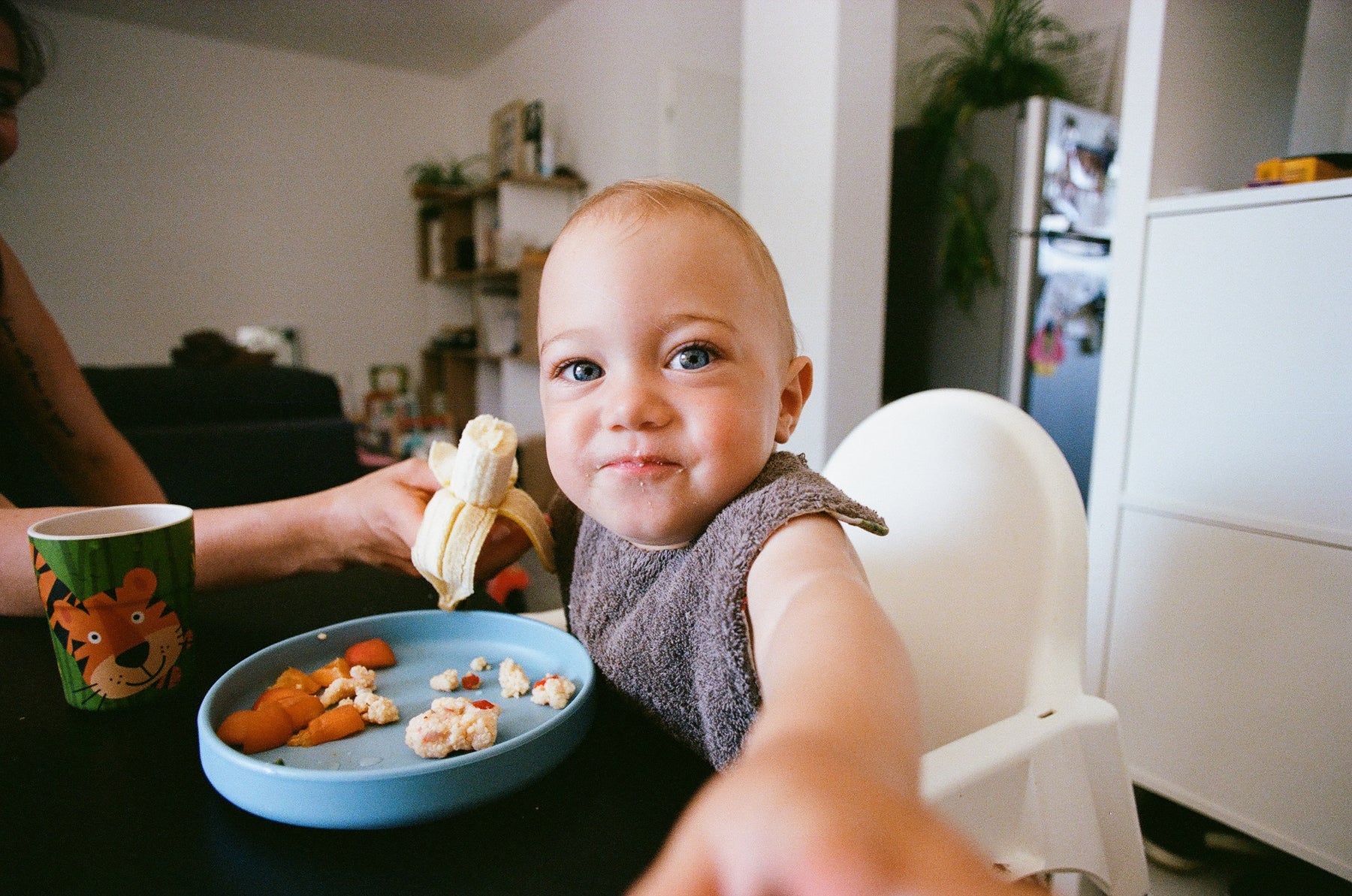  A mother feeding a baby in a highchair a banana as part of baby-led weaning.