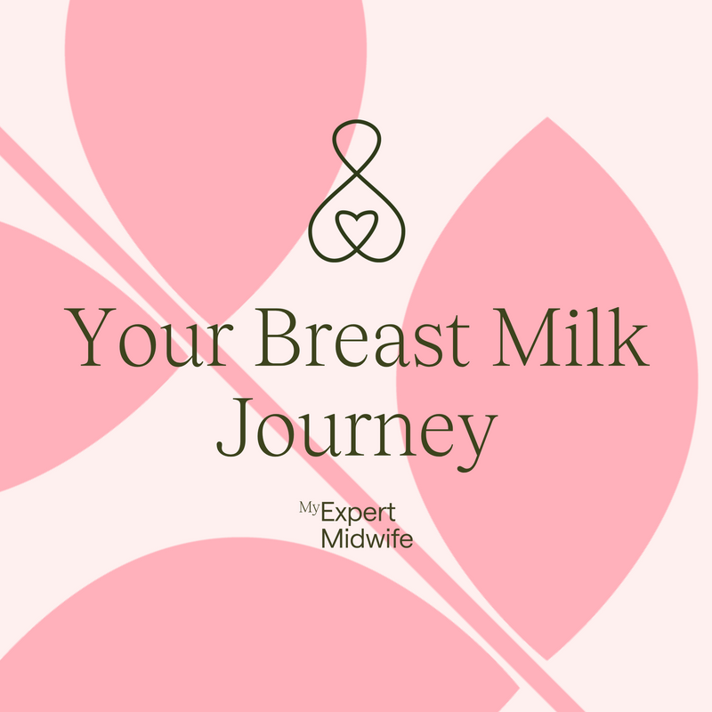  Download your FREE breast milk journey guide 