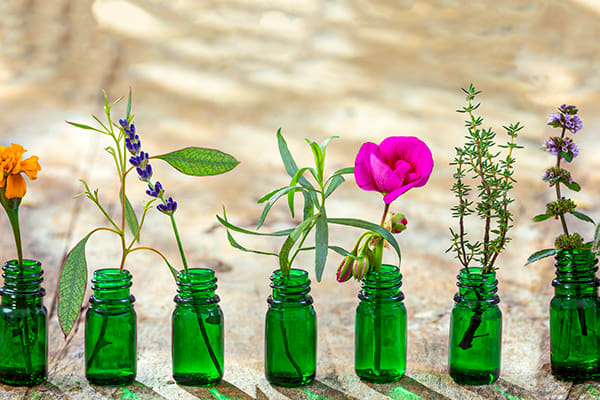  Lavender Frankincense Peppermint Eucalyptus Tea Tree Grapefruit Rosemary Lemon 