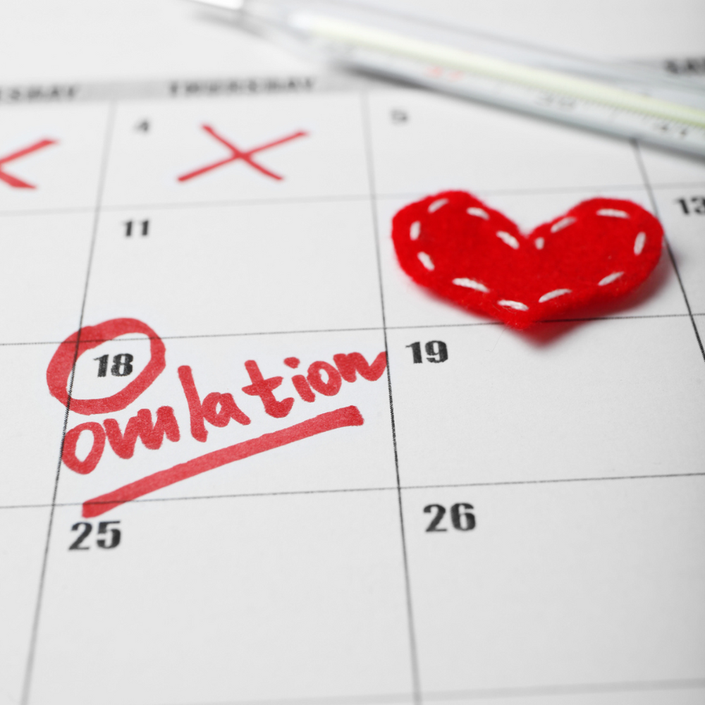  Ovulation 101 