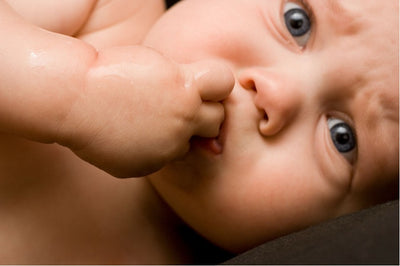 A baby sucking its fingers to soothe the pain of teething.