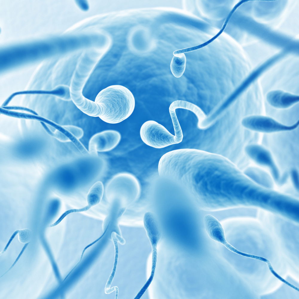  How To Increase Sperm Count & Boost Male Fertility 