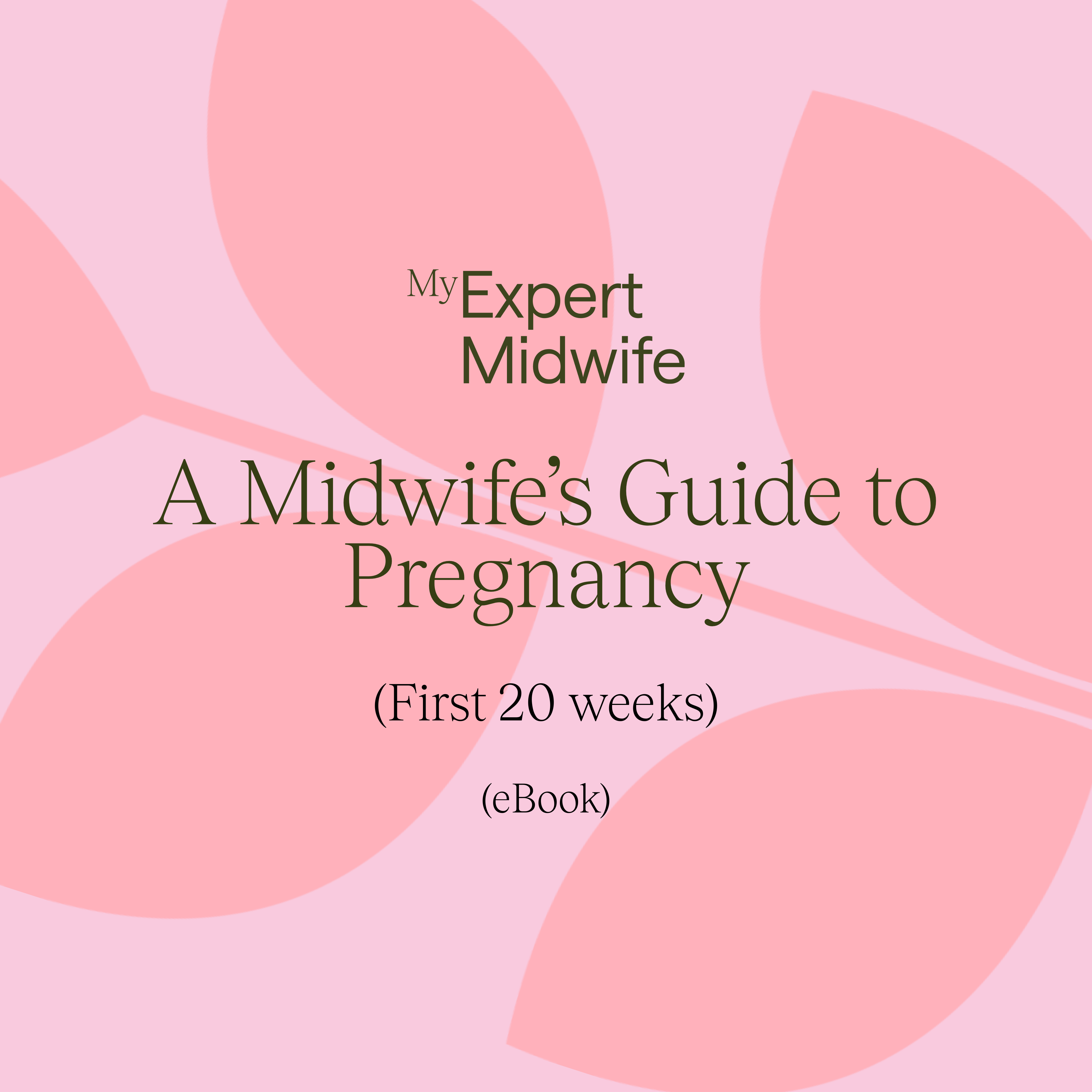 A Midwife's Guide to Pregnancy - First 20 weeks