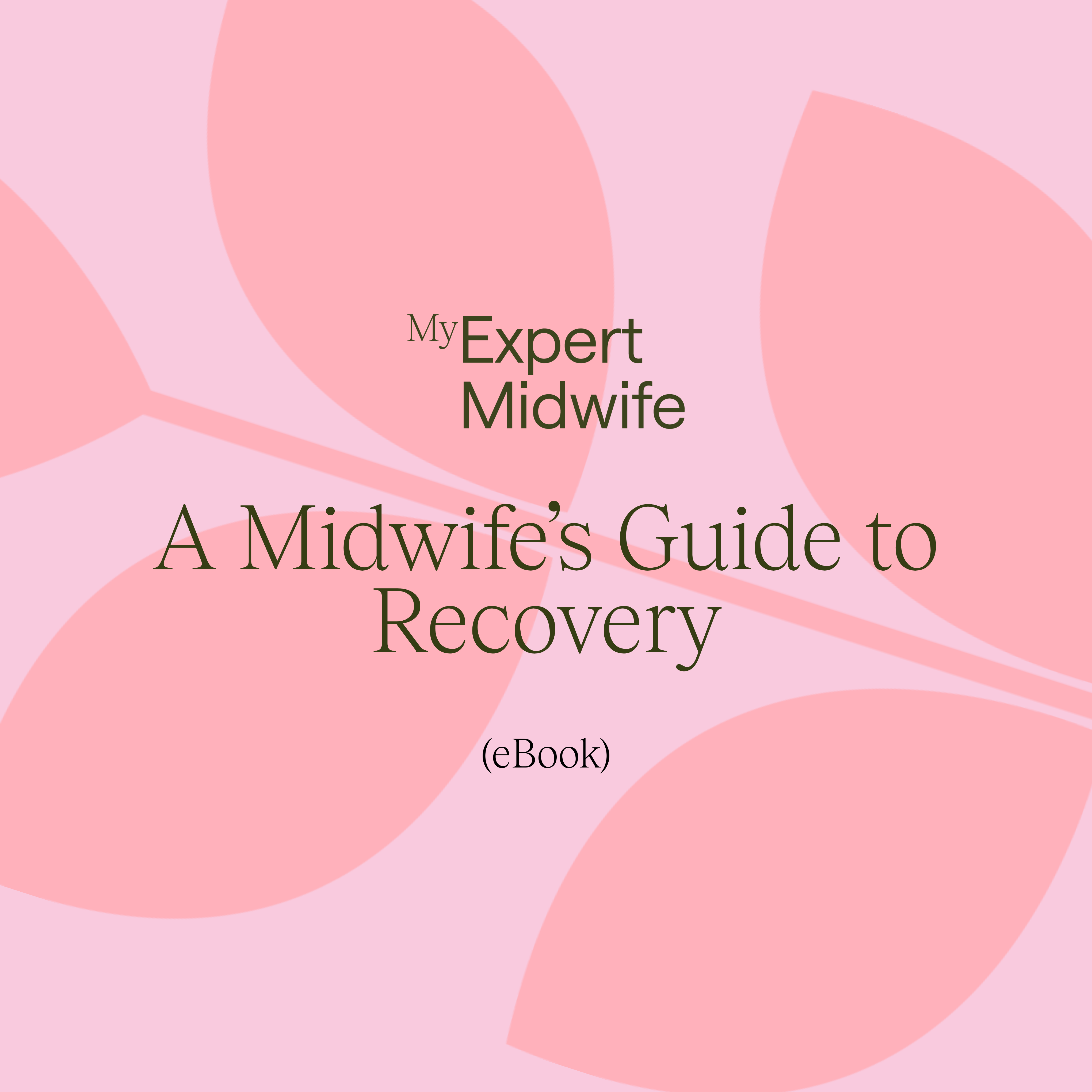  A Midwife's Guide to Recovery 