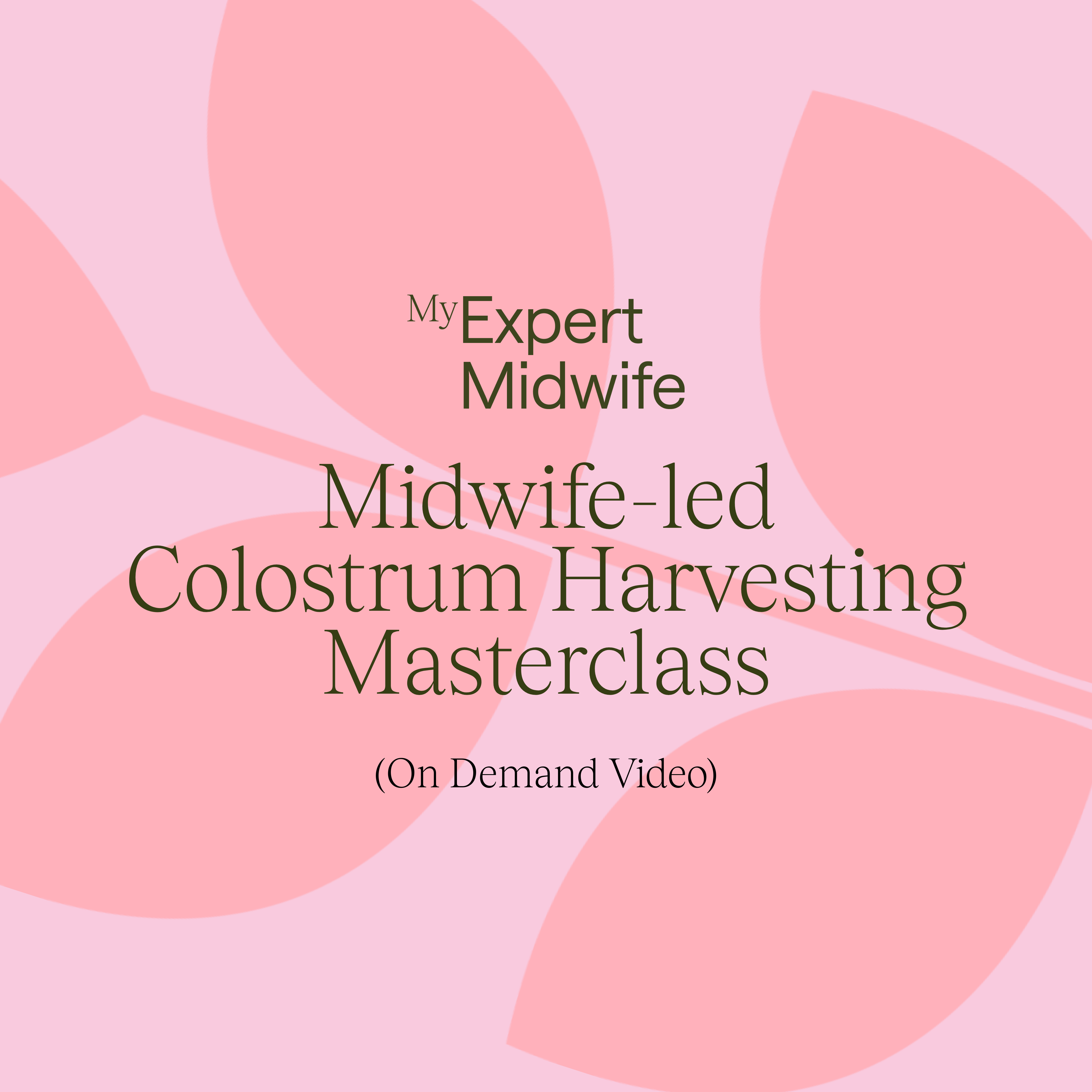  Midwife-led Colostrum Harvesting masterclass 