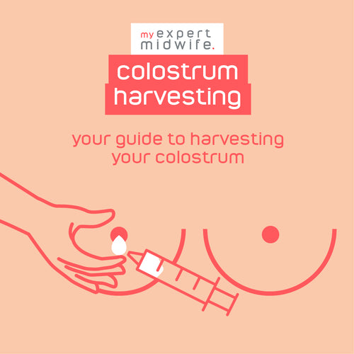how to do colostrum harvesting