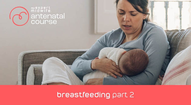 Breastfeeding Challenges + Practical Tips On Demand Webinar