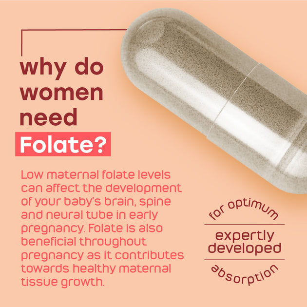 pre-conception + pregnancy supplement women